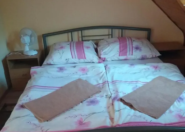 Adam Vendeghaz 2 * Siofok